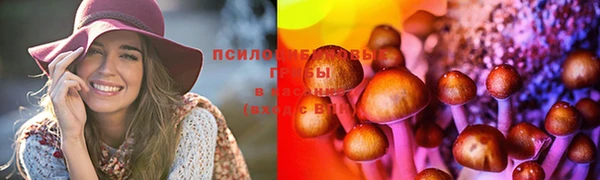 спиды Каменка