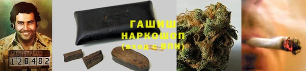 спиды Каменка