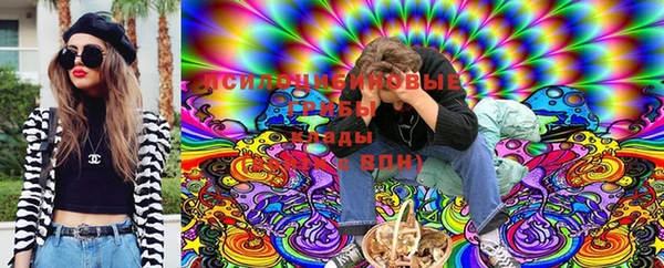спиды Каменка