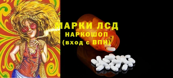 спиды Каменка