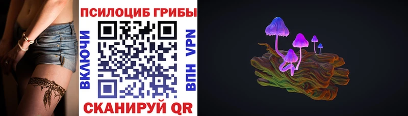 Галлюциногенные грибы прущие грибы  Купить  Курильск 